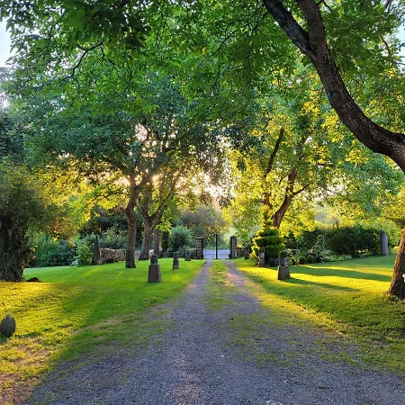 Le Vieux Vinzelles ボルヴィック