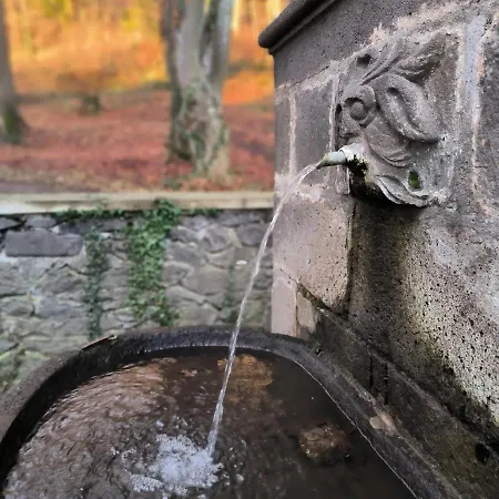 Le Vieux Vinzelles *