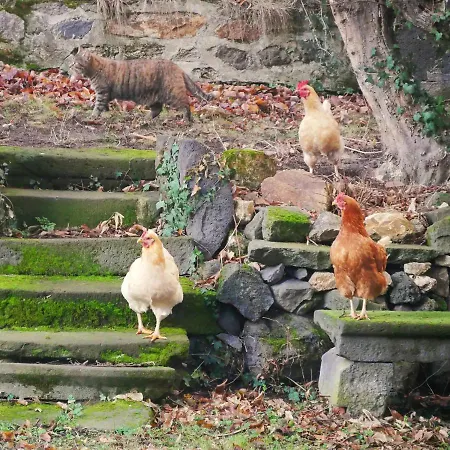 Ferienhaus Le Vieux Vinzelles *