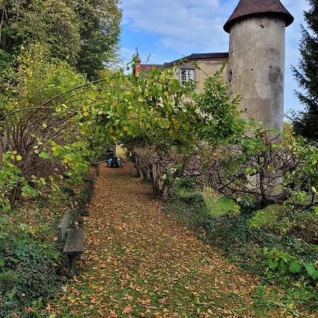 Le Vieux Vinzelles *