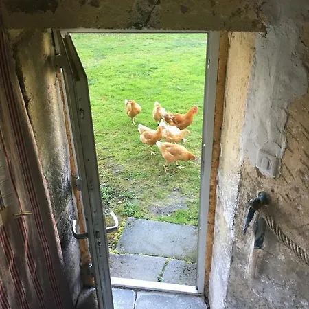 Le Vieux Vinzelles Дом отдыха Вольвик